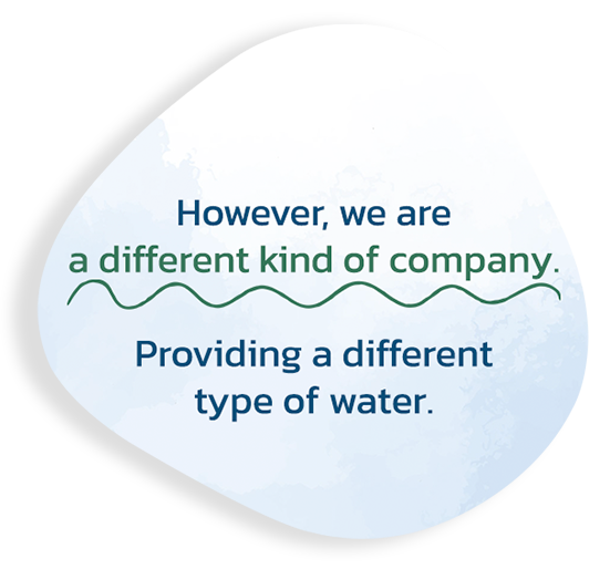 Different Kind Company Shadow