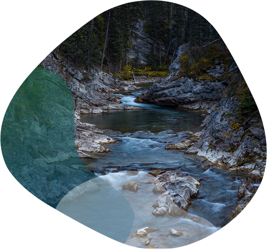 Sustainability Secondary Image